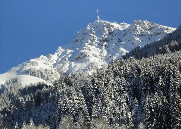 In Neustift Near Lift Neustift im Stubaital