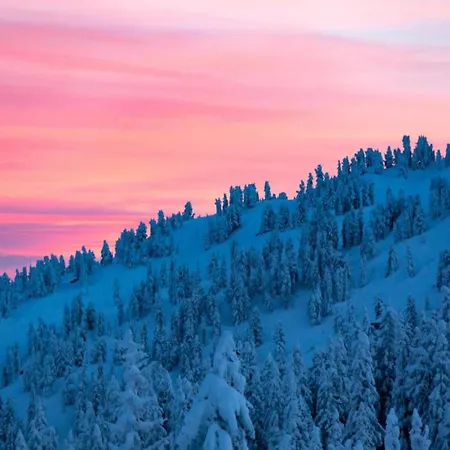 Lovely In With Mountain View