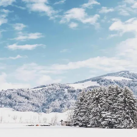 In Neustift Near Lift *